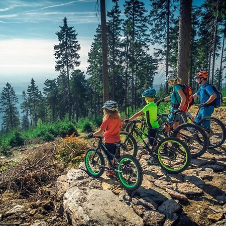 Ski Villa Rubicon Loučná pod Klínovcem Zewnętrze zdjęcie